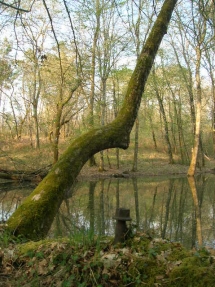 le Ruisseau Chaud Insolites