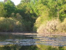 Le Ruisseau Chaud Forêt de la Double