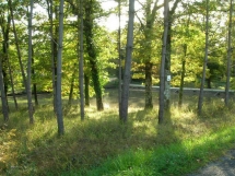 Le Ruisseau Chaud Forêt de la Double