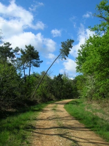 Le Ruisseau Chaud Forêt de la Double