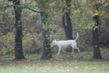 Le Ruisseau Chaud Parc