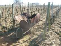 Le Ruisseau Chaud Les vignes à St Sulpice de Faleyrens